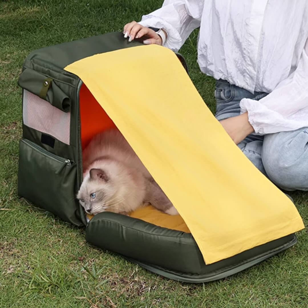 Cat Relaxing in Olive Green Cat Backpack with Foldable Sunshade | MissyMoMo