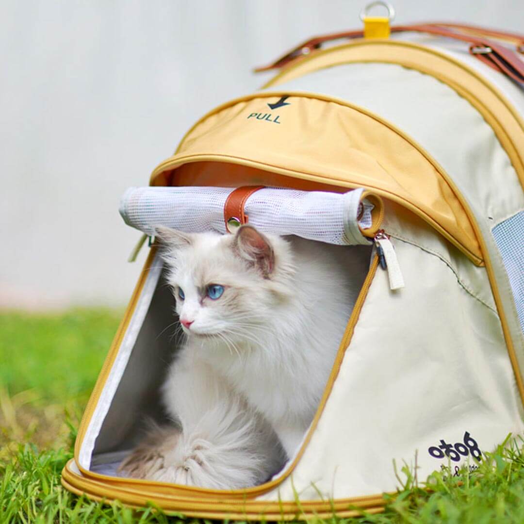 Cat Relaxing in the Luxury Cat Backpack Tent | MissyMoMo