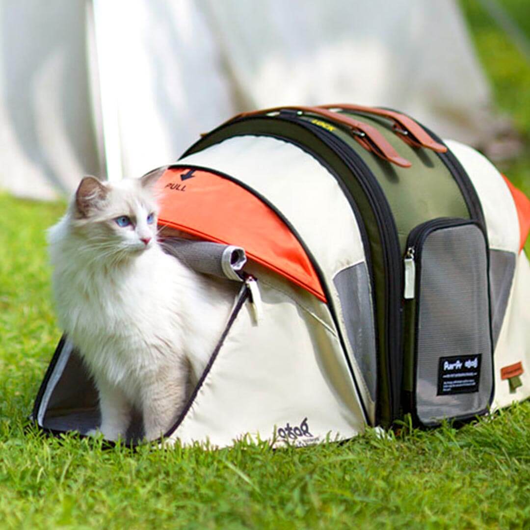 Cat Relaxing in the Luxury Cat Backpack Tent | MissyMoMo