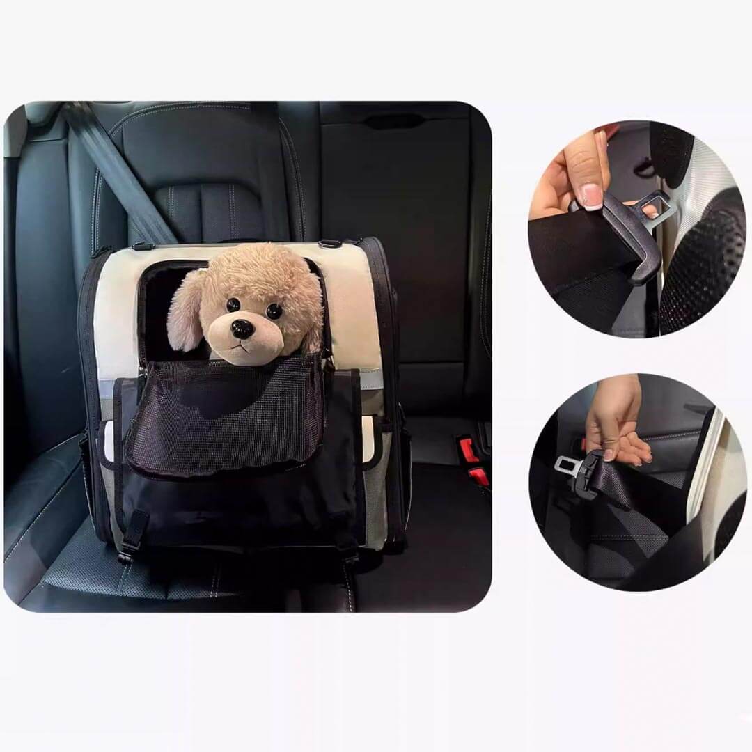 Pet Carrier Backpack Secured with Car Seatbelt | MissyMoMo