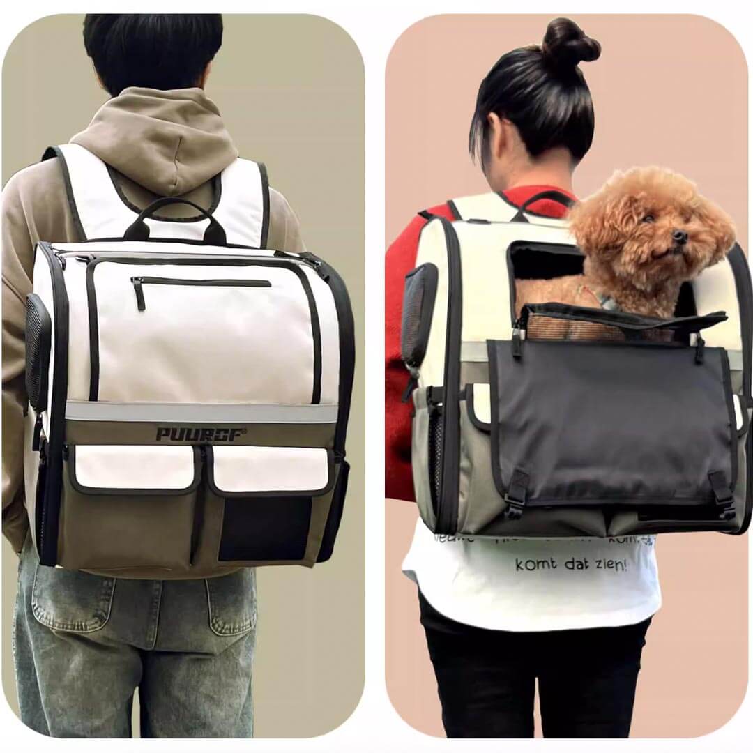 People Wearing Cat Backpack With Dog And Cat Inside | MissyMoMo