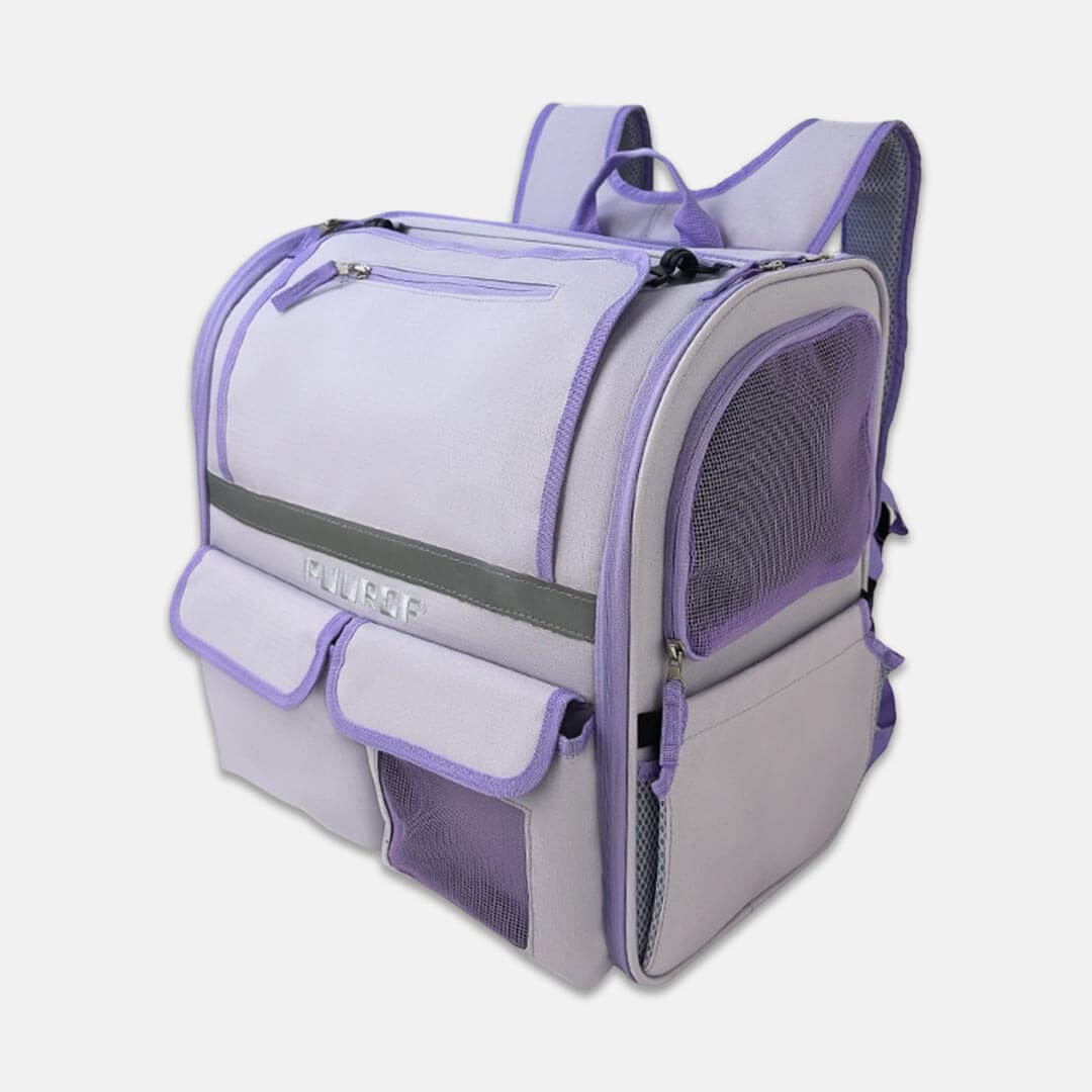 Large Purple Cat Backpack for Carrying Chubby Cats | MissyMoMo