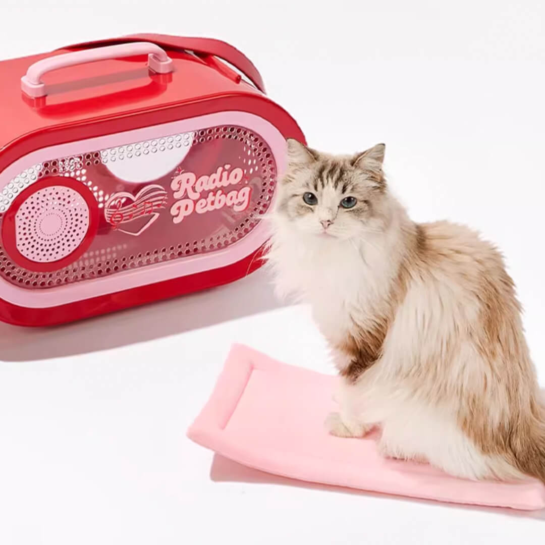 Cat Sitting on the Soft Pad of RadioMoMo Vintage Retro Red Hard Cat Carrier | MissyMoMo