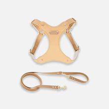 Load image into Gallery viewer, Rio Cat Harness & Leash Set in Tan Leather | MissyMoMo