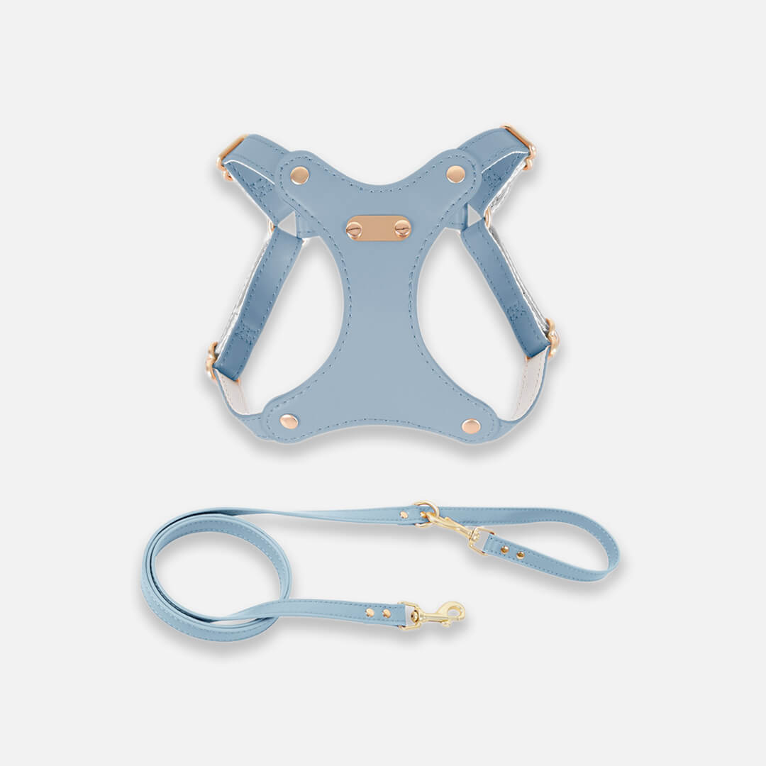 Rio Cat Harness & Leash Set in Blue Leather | MissyMoMo