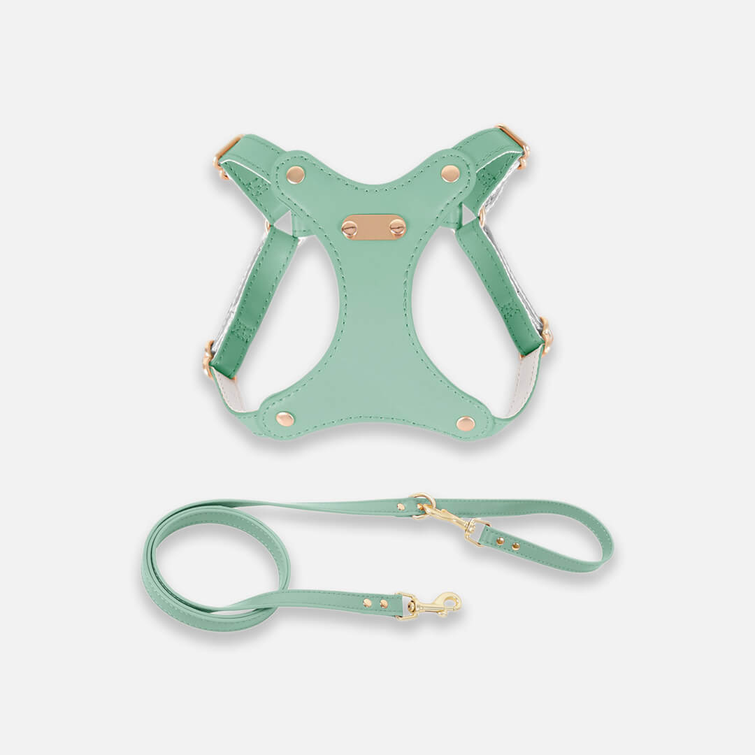 Rio Cat Harness & Leash Set in Green Leather | MissyMoMo