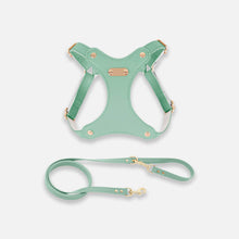 Load image into Gallery viewer, Rio Cat Harness & Leash Set in Green Leather | MissyMoMo