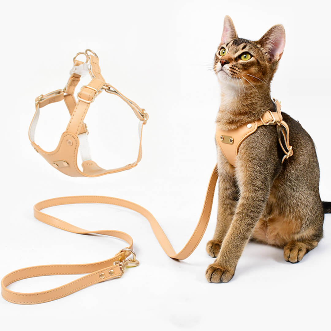 Cat Wearing Rio Cat Harness in Tan | MissyMoMo