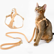 Load image into Gallery viewer, Cat Wearing Rio Cat Harness in Tan | MissyMoMo