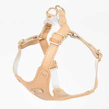 Load image into Gallery viewer, Rio Waterproof Leather Cat Harness & Leash Set | MissyMoMo
