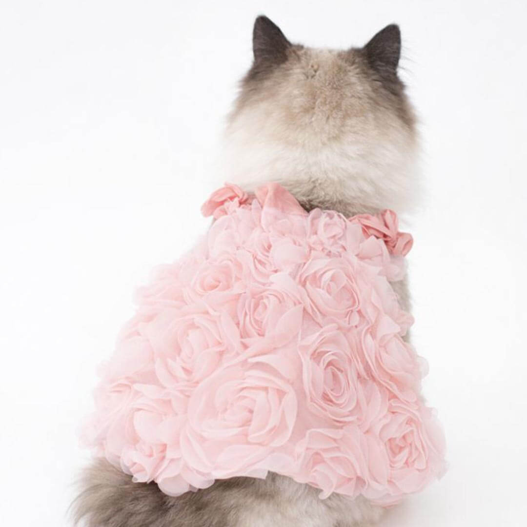 Pink Rose Cat Dress On Cat | Ruffled Rose Cat Dress | MissyMoMo