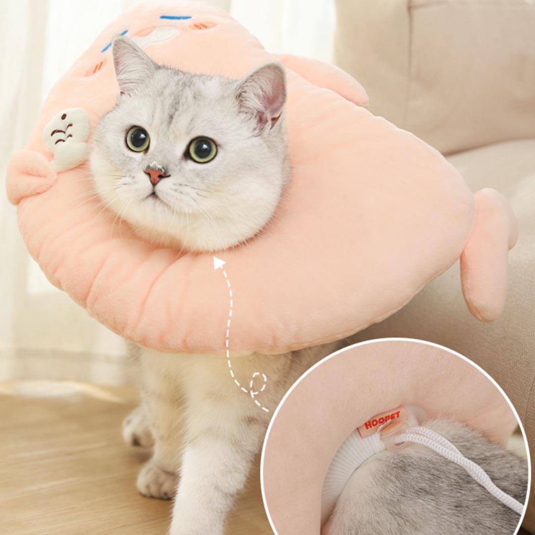 Seal Elizabethan Collar for Cats | Cat with Comfy E Collar | MissyMoMo