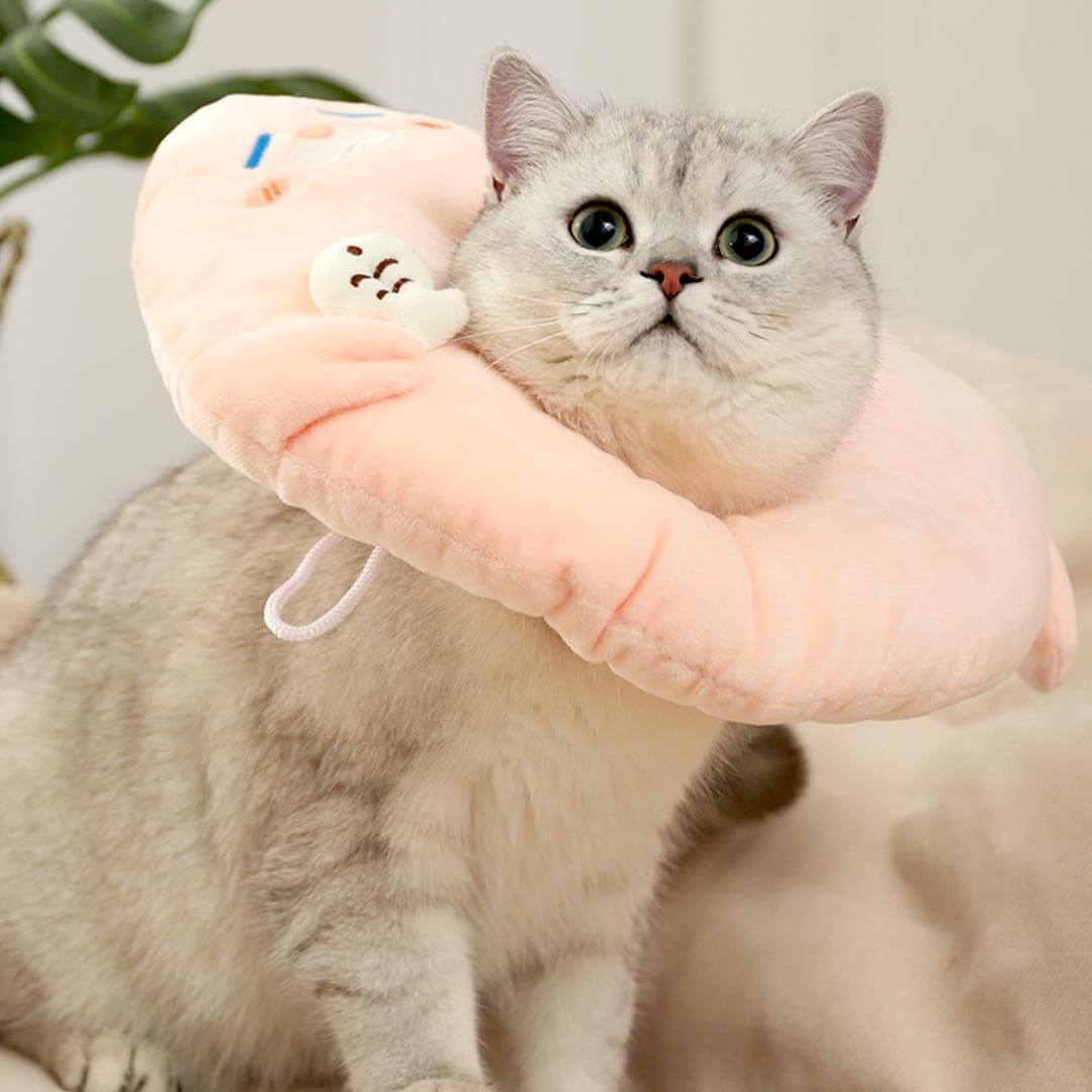Seal Elizabethan Collar for Cats | Cat with Comfy E Collar | MissyMoMo