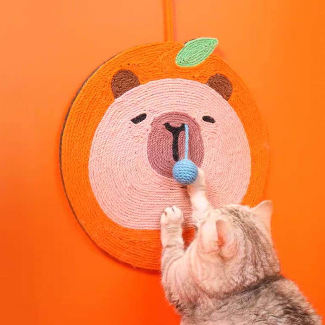 Cat Scratching Cute Orange Sniffy Capybara Cat Scratch Mat | MissyMoMo