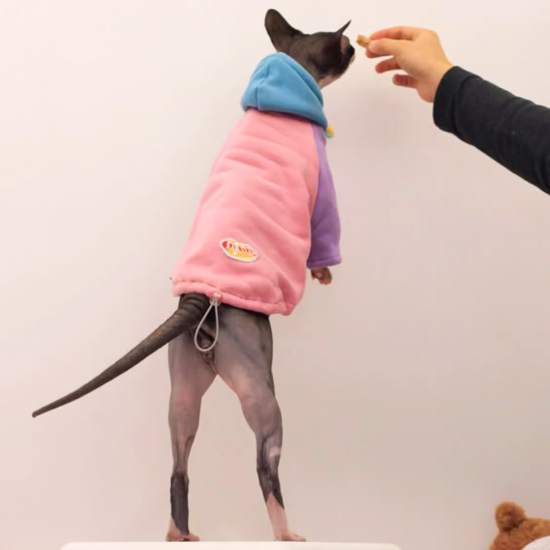 Stylish Hoodie for Sphynx Cats | MissyMoMo