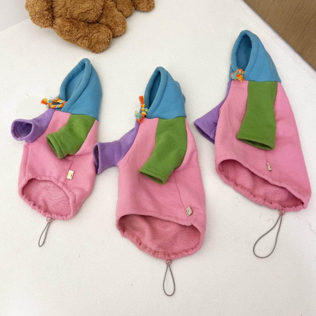 Cute & Colorful Hoodie for Sphynx Cats | MissyMoMo