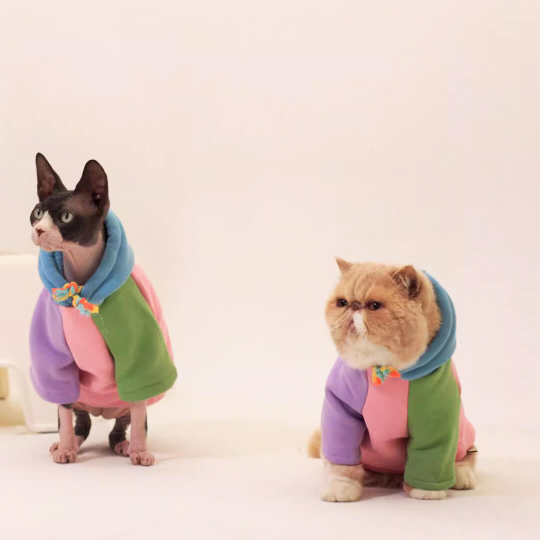 Cute Hoodie for Sphynx Cats | MissyMoMo