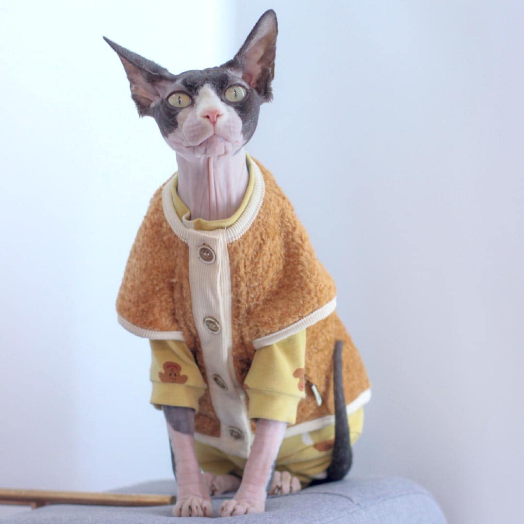 MoMo Cat Vest | Cat Clothes for Sphynx | MissyMoMo