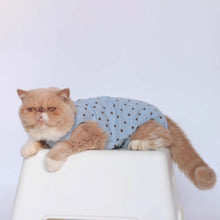 Load image into Gallery viewer, Cat in Stylish Blue Dungarees | MissyMoMo