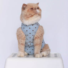 Load image into Gallery viewer, Cat in Stylish Blue Dungarees | MissyMoMo