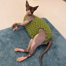 Load image into Gallery viewer, Sphynx Cat in Stylish Green Dungarees | MissyMoMo