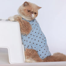 Load image into Gallery viewer, Cat in Stylish Blue Dungarees | MissyMoMo
