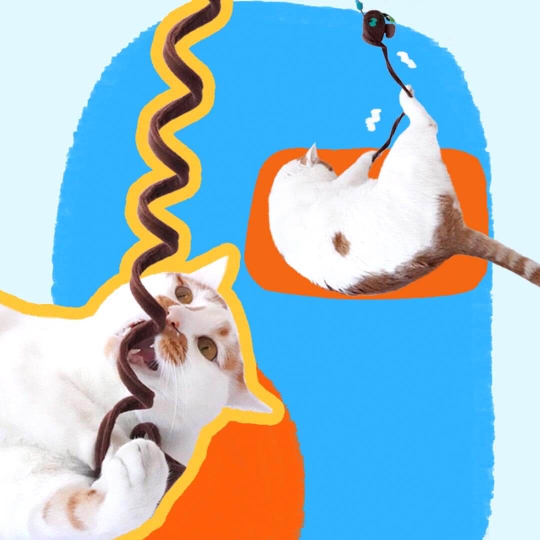 Springy Sausage Dog Teaser | Interactive Cat Toys | MissyMoMo