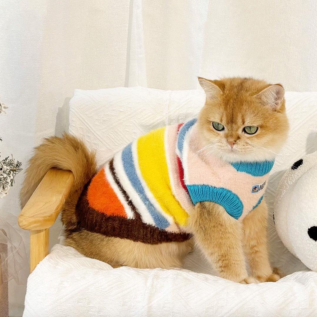 Cat Wearing Rainbow Stripe Sweater | Cute Colorful Cat Outfit | MissyMoMo