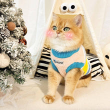 Load image into Gallery viewer, Cat In Rainbow Stripe Sweater | Soft Knit Cat Clothes | MissyMoMo