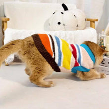 Load image into Gallery viewer, Cat Wearing Rainbow Stripe Sweater | Colorful Cat Apparel | MissyMoMo