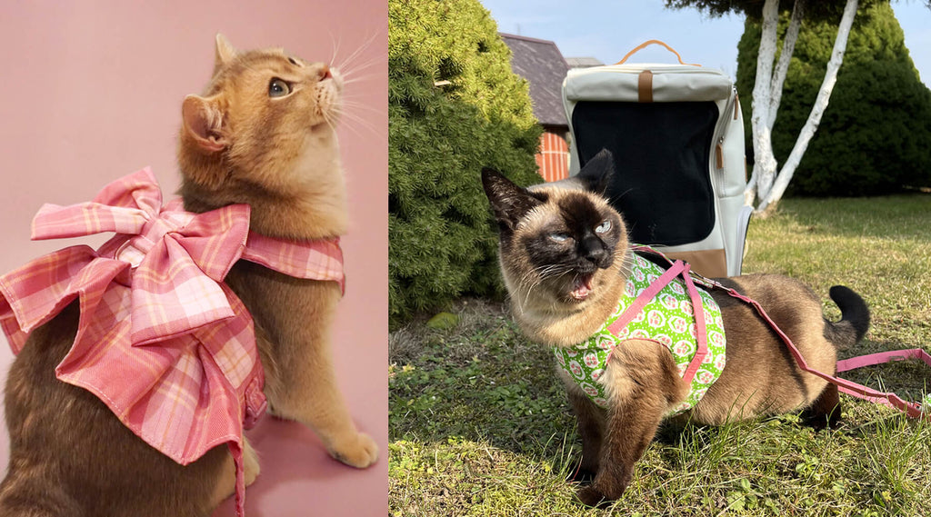 Stylish Travel Cat Carriers & Cat Harnesses | MissyMoMo