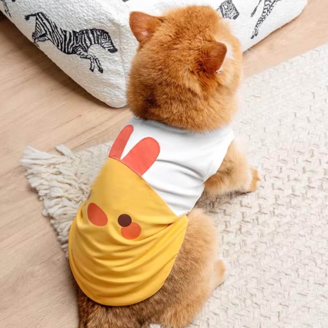 Cat in Yellow Chicken Cat Vest | Adorable Cat Outfit | MissyMoMo