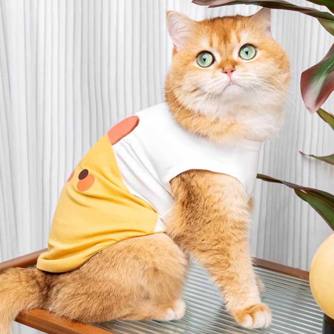 Yellow Chicken Cat Vest On Ginger Cat Sitting Side View | Cute Cat Summer Outfit | MissyMoMo