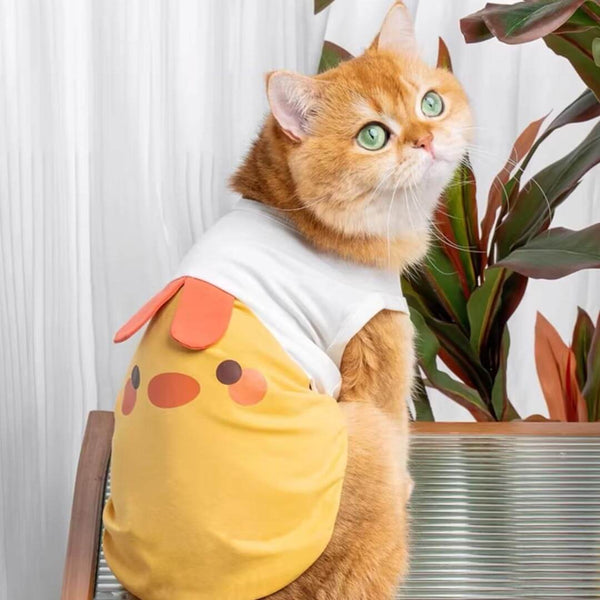 Yellow Chicken Cat Vest On Cat | Adorable Cat Outfit | MissyMoMo