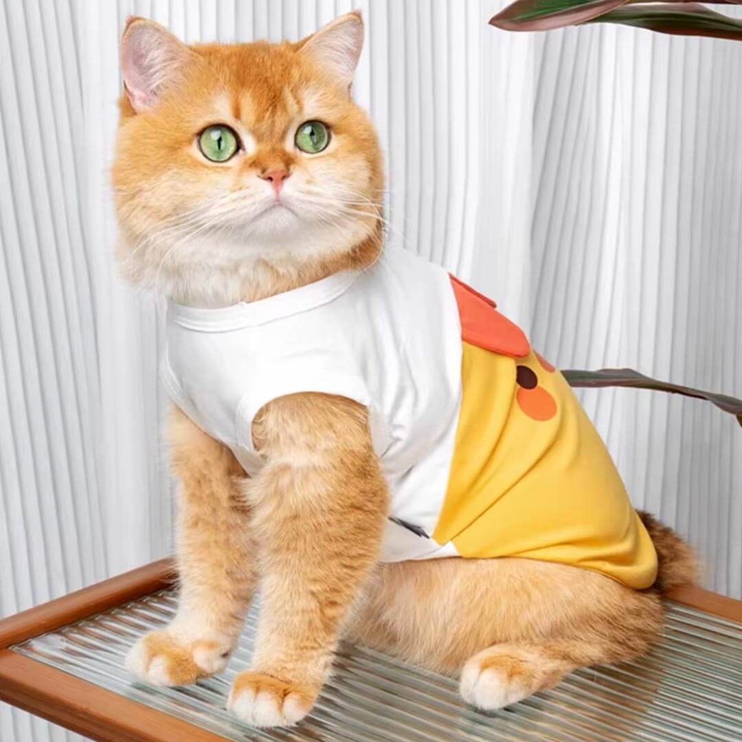Yellow Chicken Cat Vest On Cat | Cute Cat Apparel | MissyMoMo