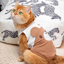 Load image into Gallery viewer, Brown Teddy Bear Cat Vest On Cat Sitting Indoors | Adorable Cat Clothes | MissyMoMo
