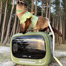 Load image into Gallery viewer, TellyMoMo Cat Carrier | Vintage-Inspired Pet Carrier | MissyMoMo
