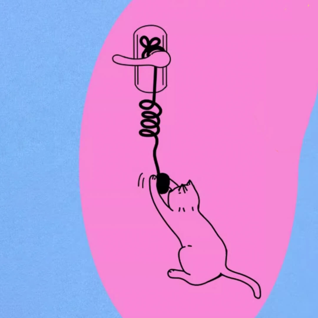 Tennis Pawtner Cat Bungee Teaser Wand | Cat Toys | MissyMoMo