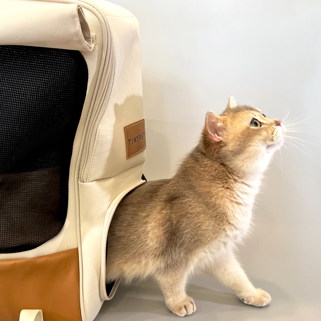 Tinypet Cat Backpack