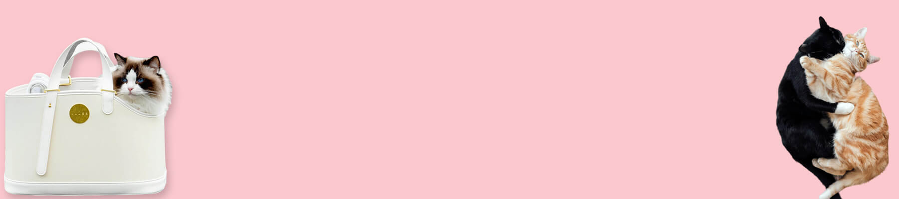 Top Opening Cat Carrier Collection