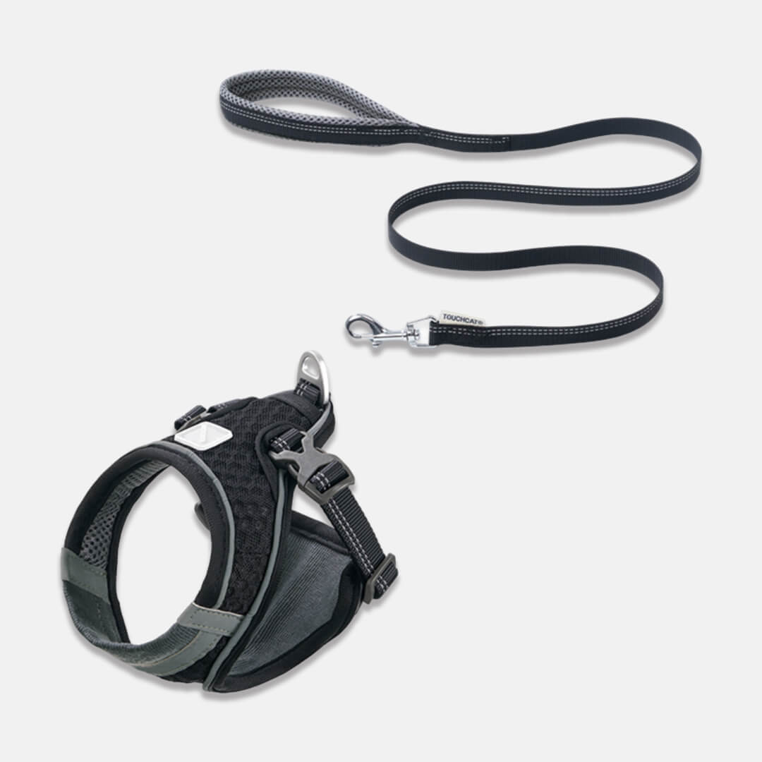 Black Mesh Vest Cat Harness & Leash Set | MissyMoMo