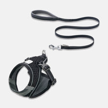 Load image into Gallery viewer, Black Mesh Vest Cat Harness & Leash Set | MissyMoMo