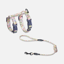 Load image into Gallery viewer, TouchCat Cat Harness & Leash Set for Walking | H-Style Cat Harness | MissyMoMo