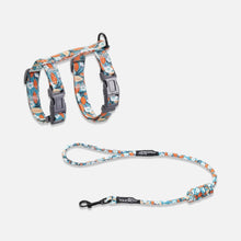 Load image into Gallery viewer, TouchCat Cat Harness & Leash Set for Walking | H-Style Cat Harness | MissyMoMo