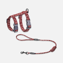 Load image into Gallery viewer, TouchCat Cat Harness & Leash Set for Walking | H-Style Cat Harness | MissyMoMo
