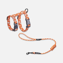 Load image into Gallery viewer, TouchCat Cat Harness & Leash Set for Walking | H-Style Cat Harness | MissyMoMo