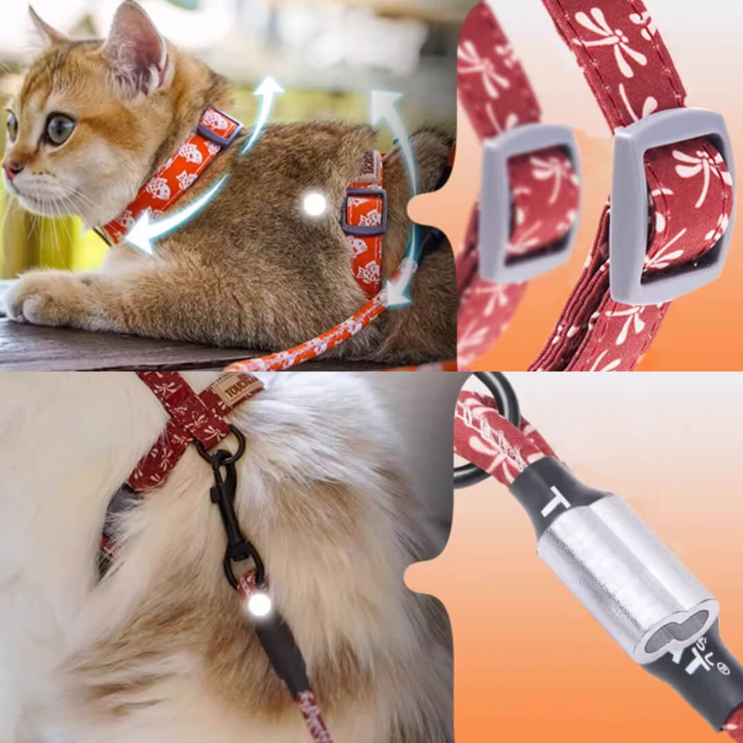 TouchCat  Cat Harness & Leash Set for Walking | H-Style Cat Harness | MissyMoMo
