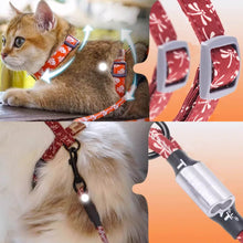 Load image into Gallery viewer, TouchCat Cat Harness & Leash Set for Walking | H-Style Cat Harness | MissyMoMo