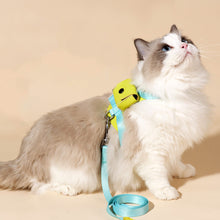 Load image into Gallery viewer, Cat in Turquoise H-Style Harness with a Mini Bag | MissyMoMo
