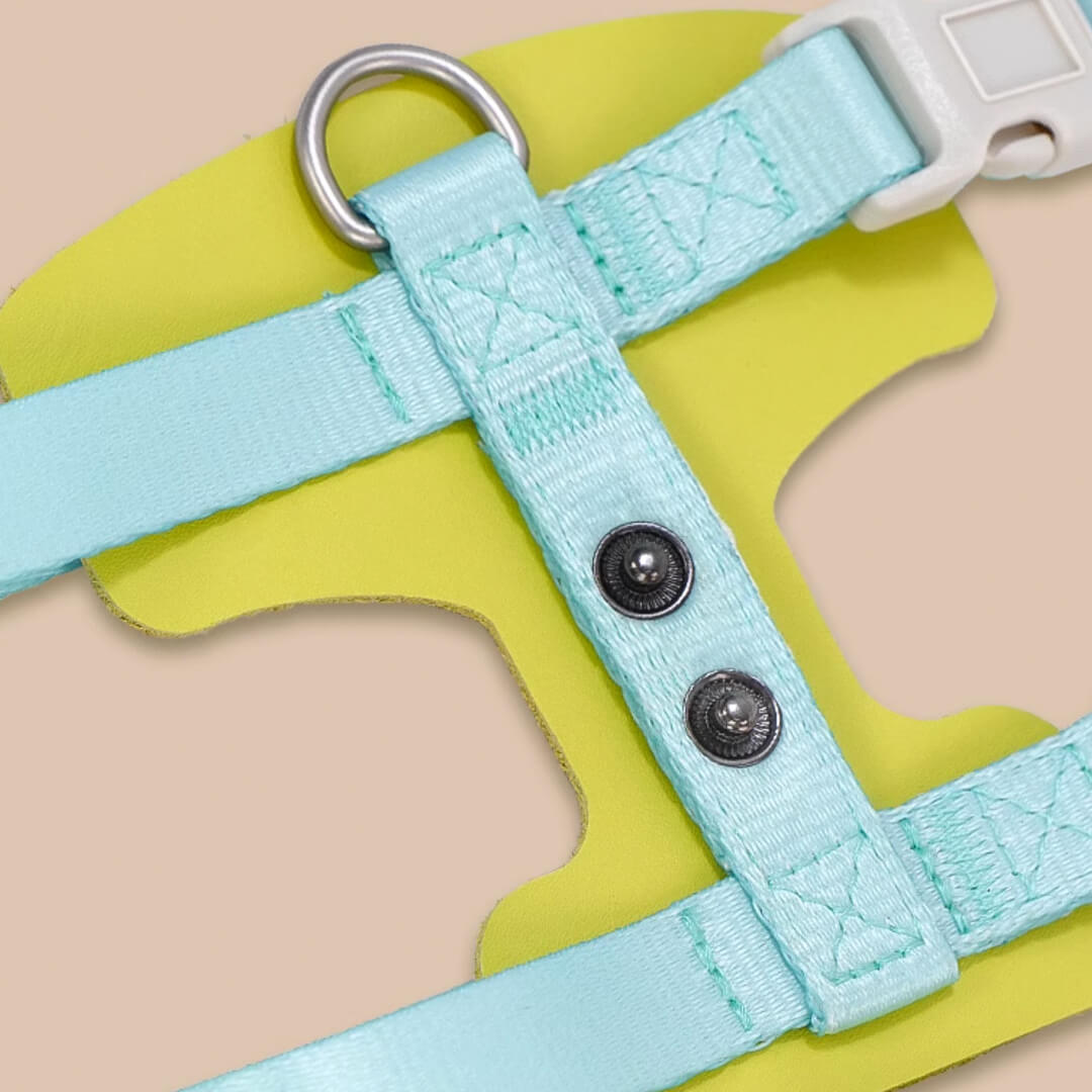 Turquoise H-Style Cat Harness | MissyMoMo